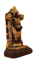Load image into Gallery viewer, God Tirupati Balaji,Sri Venkateswara Idol for puja Black